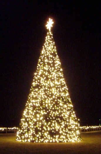 Smith Mountain Lake Annual Tree Lighting & Holiday Open House