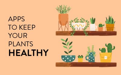 These Apps Help Keep Your Houseplants Alive